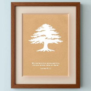 A Perseverança dos Cedros